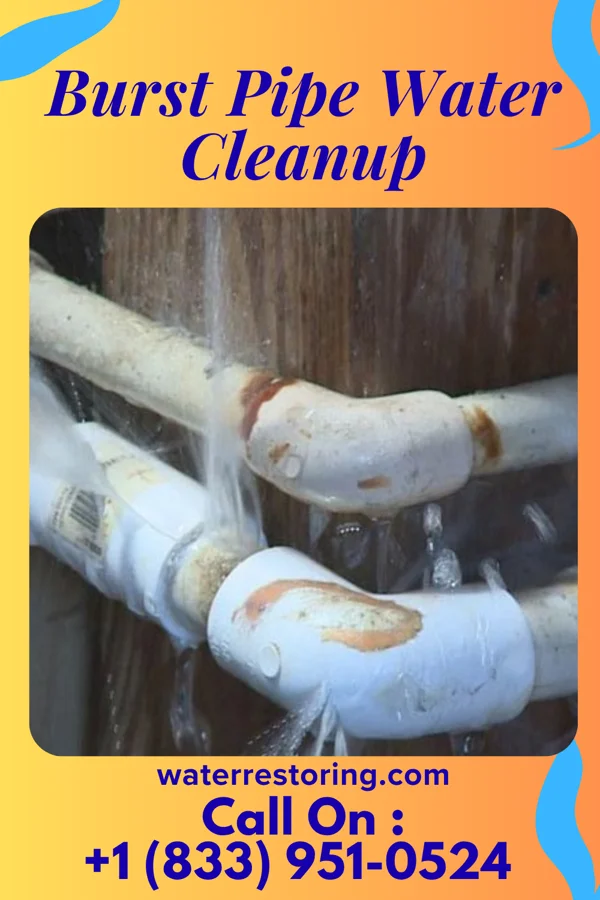 Burst Pipe Water Cleanup in Leonia, NJ
