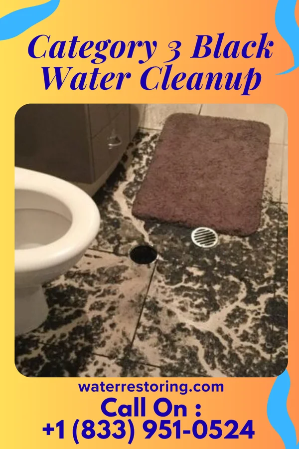Category 3 Black Water Cleanup in Leonia, NJ