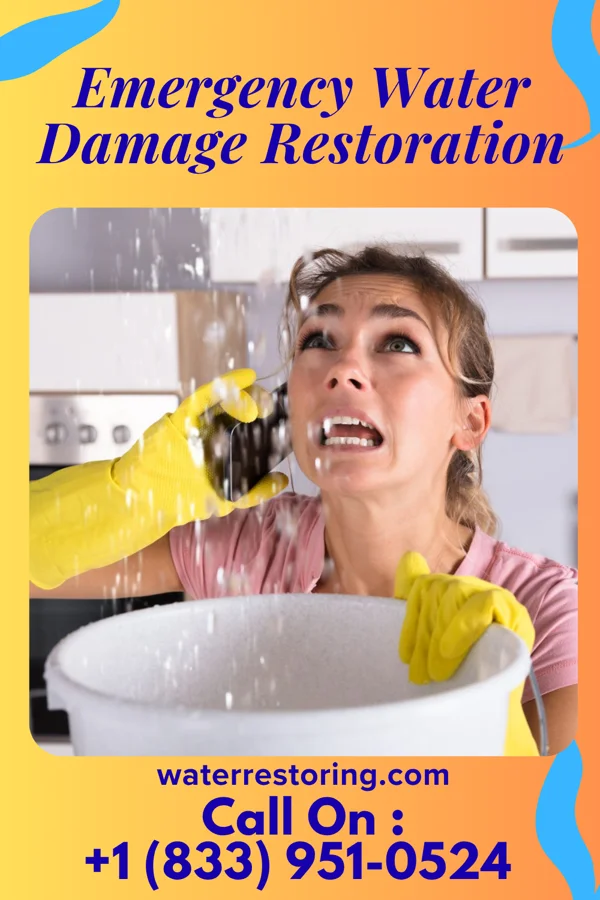 Emergency Water Damage Restoration in Leonia, NJ