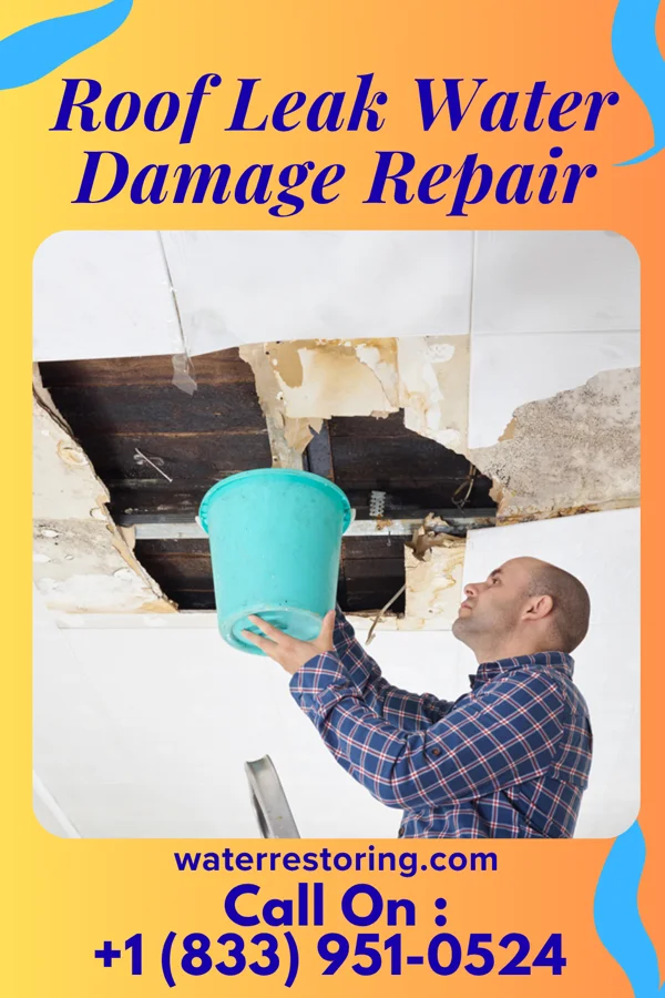 Roof Leak Water Damage Repair in Leonia, NJ