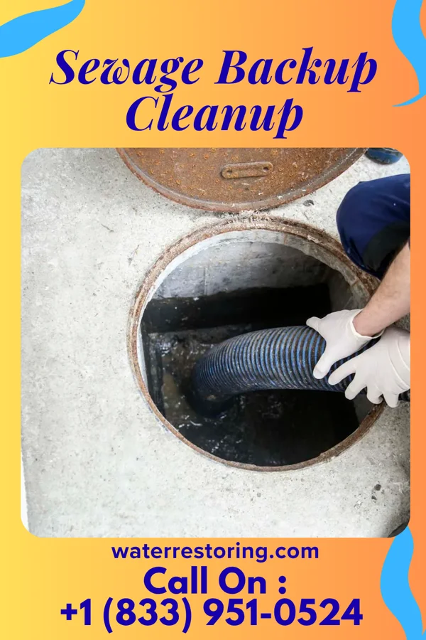 Sewage Backup Cleanup in Leonia, NJ