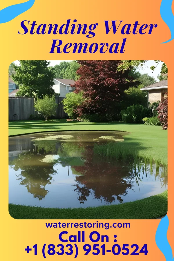 Standing Water Removal in Leonia, NJ